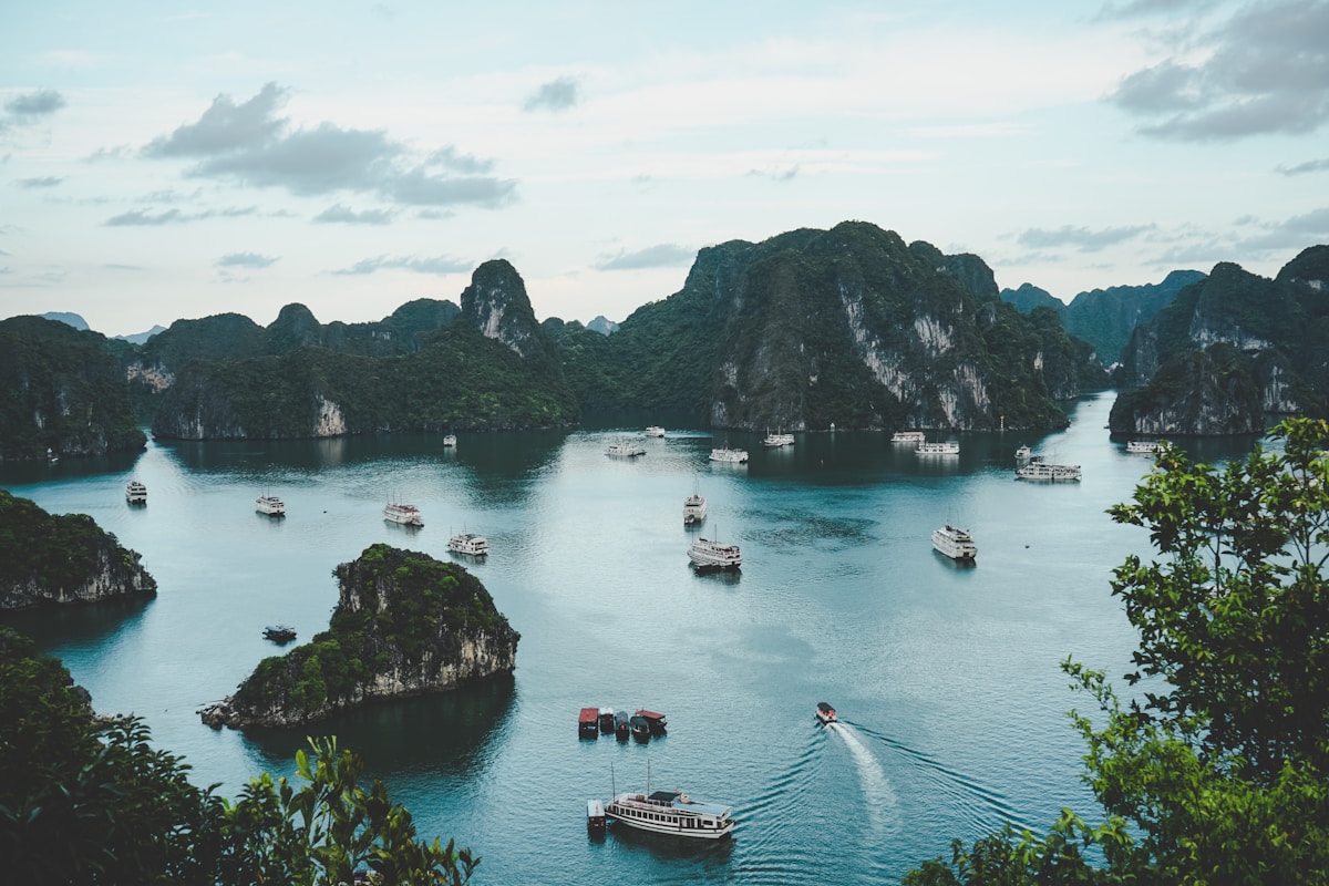 The Vietnam Grand Experience